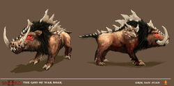Wild Boar