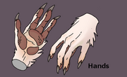 Sergal paws