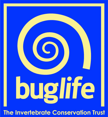 File:Buglife.jpg