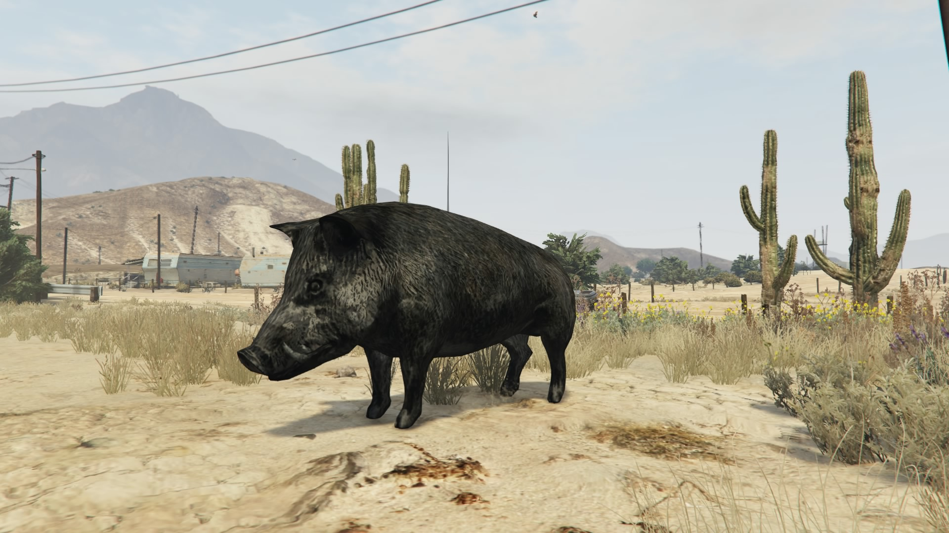 Be animals on gta 5 фото 1