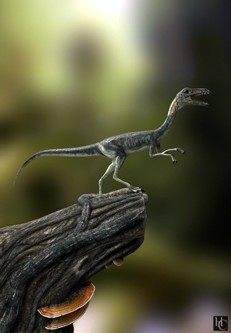 jurassic park 3 compsognathus