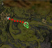 KiraThorneMap
