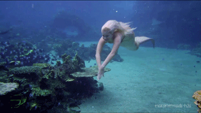 Mako Mermaids - Season 3  Mako mermaids, Fin fun mermaid tails