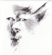 The white wolf