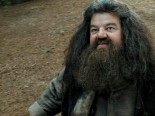 TAK TO Hagrid.jpg