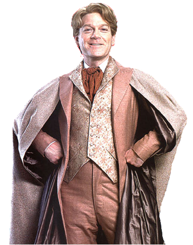 Image result for gilderoy lockhart