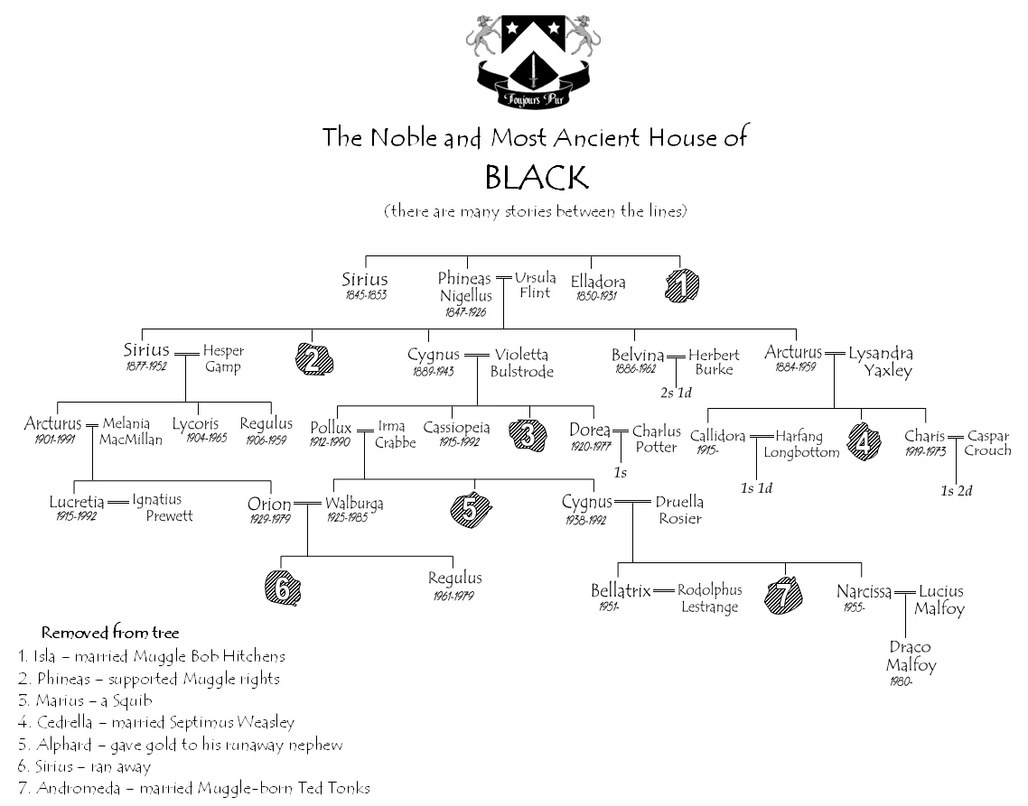 Image Black family tree.jpg Harry Potter Wiki FANDOM powered by Wikia