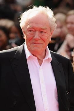 Michael Gambon | Harry Potter | FANDOM powered by Wikia