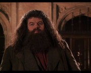 Hagrid do azkabanu!.jpg