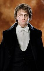 Harry Potter (GoF-07)