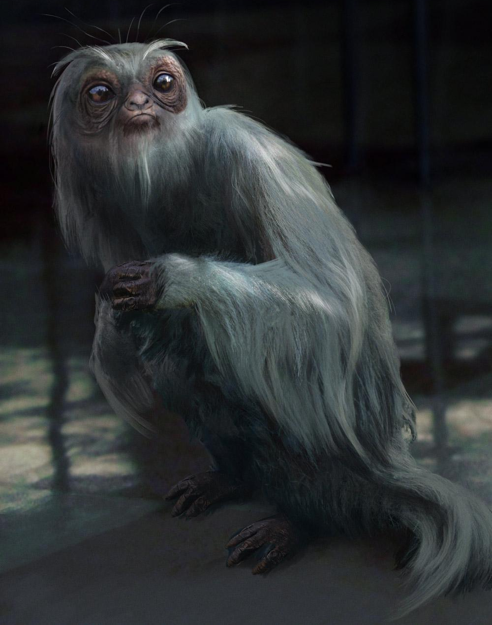 Les Animaux Fantastiques Ordre Des Films Demiguise | Wiki Harry Potter | FANDOM powered by Wikia