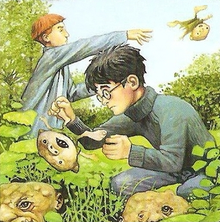 http://vignette3.wikia.nocookie.net/harrypotter/images/d/d4/De-GnomingTheGarden.png/revision/latest?cb=20140323013854