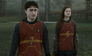 HarryPotter6-Quidditch.jpg