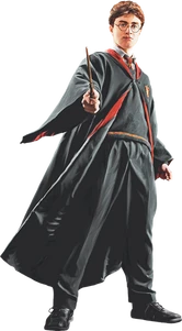 Harry in Robe with Wand Front View (Painting) - Harry Potter and the Half-Blood Prince™