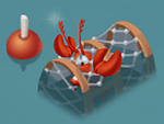 Lobster Trap Full