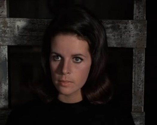 claudine longet on hogan s heroes michelle hogan s heroes fandom powered by wikia claudine longet on hogan s heroes michelle hogan s heroes fandom powered by wikia
