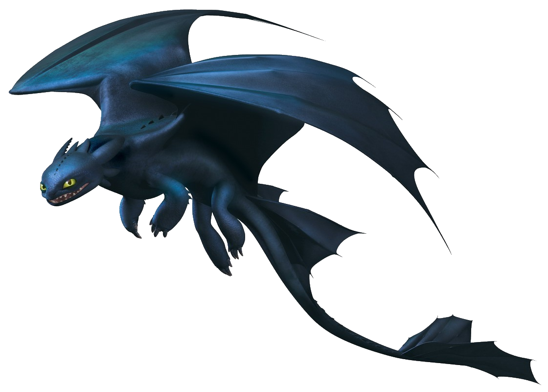 night fury night fury