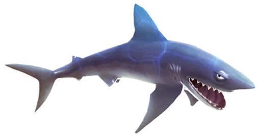 Mako Shark (Evolution) Hungry Shark Wiki FANDOM powered by Wikia