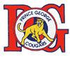 Oldcougars