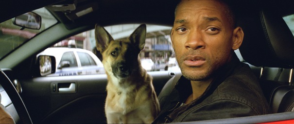 Image result for i am legend sam