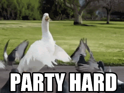 Party-Hard-Gif.gif