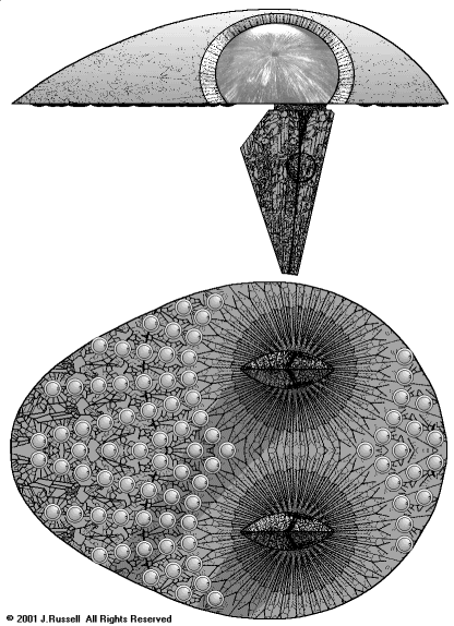 Mothership_graph.gif