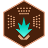 Engineer-bronze
