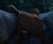 Dragon's Saddle