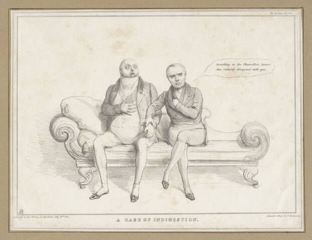 File:Hbindigestion.jpg