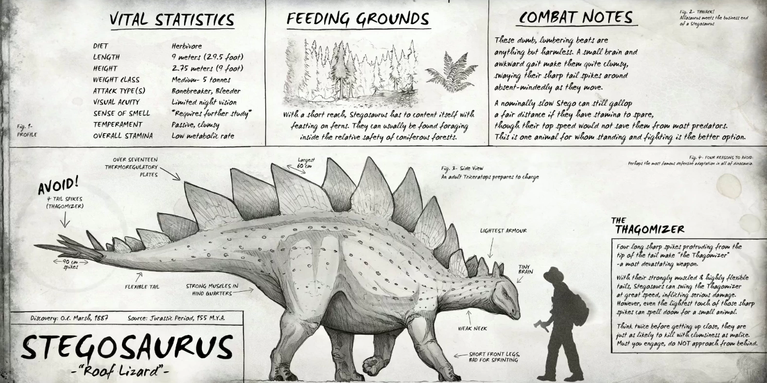 Image - Stegosaurus Dossier The Isle.png | The Isle Wiki | Fandom powered by Wikia