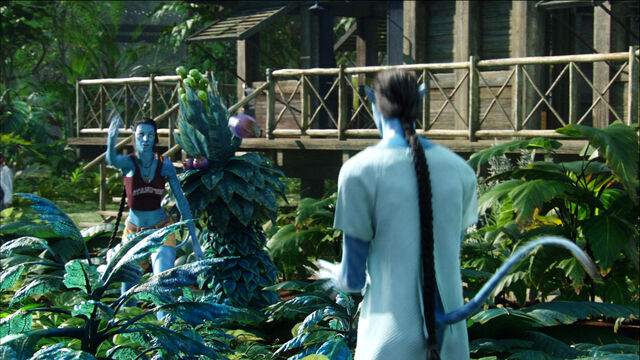 File:Grace - "Catch".jpg