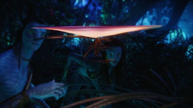 File:Fanlizard-flying.jpg