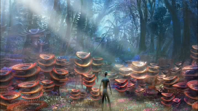 File:Vlcsnap-2010-11-21-19h24m10s160.png