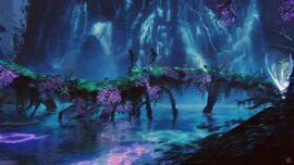 Bioluminescece