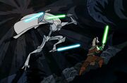 Mundi-Hypori.jpg
