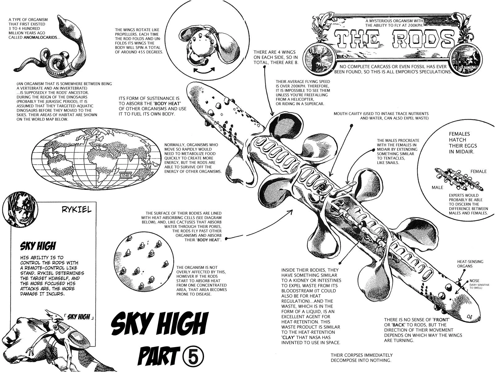 Image result for jojo skyfish