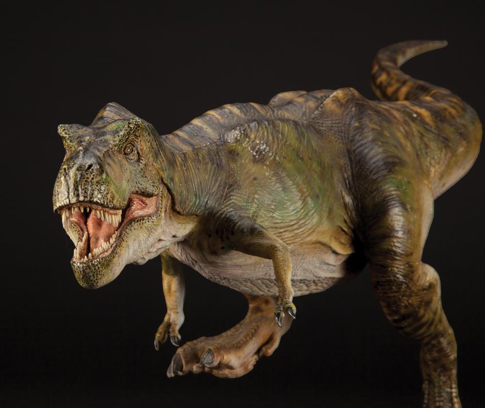 The Power of Tyrannosaurus Rex | burrunjorsramblesandbabbles