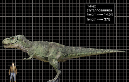 spinosaurus - el spino era joven ? - Página 3 Latest?cb=20130317010720&path-prefix=es