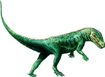 Image Marasuchus.jpg Jurassic Park wiki Wikia