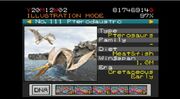 Pterodaustro212