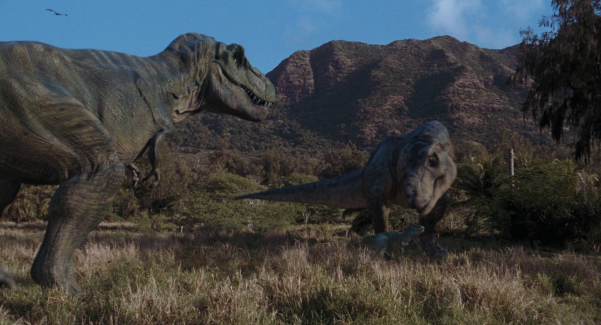australian museum tyrannosaurus meet the family