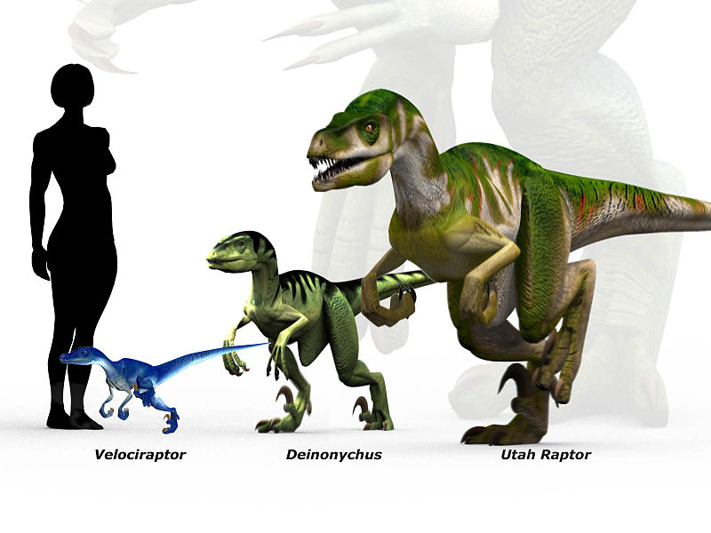 raptor skeleton jurassic park