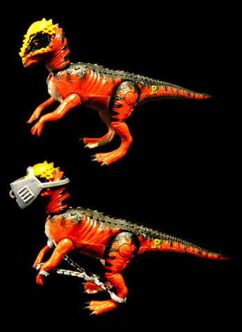 File:JP-PachycephalosaurusAF.jpg