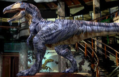 Giganto jup-582.jpg
