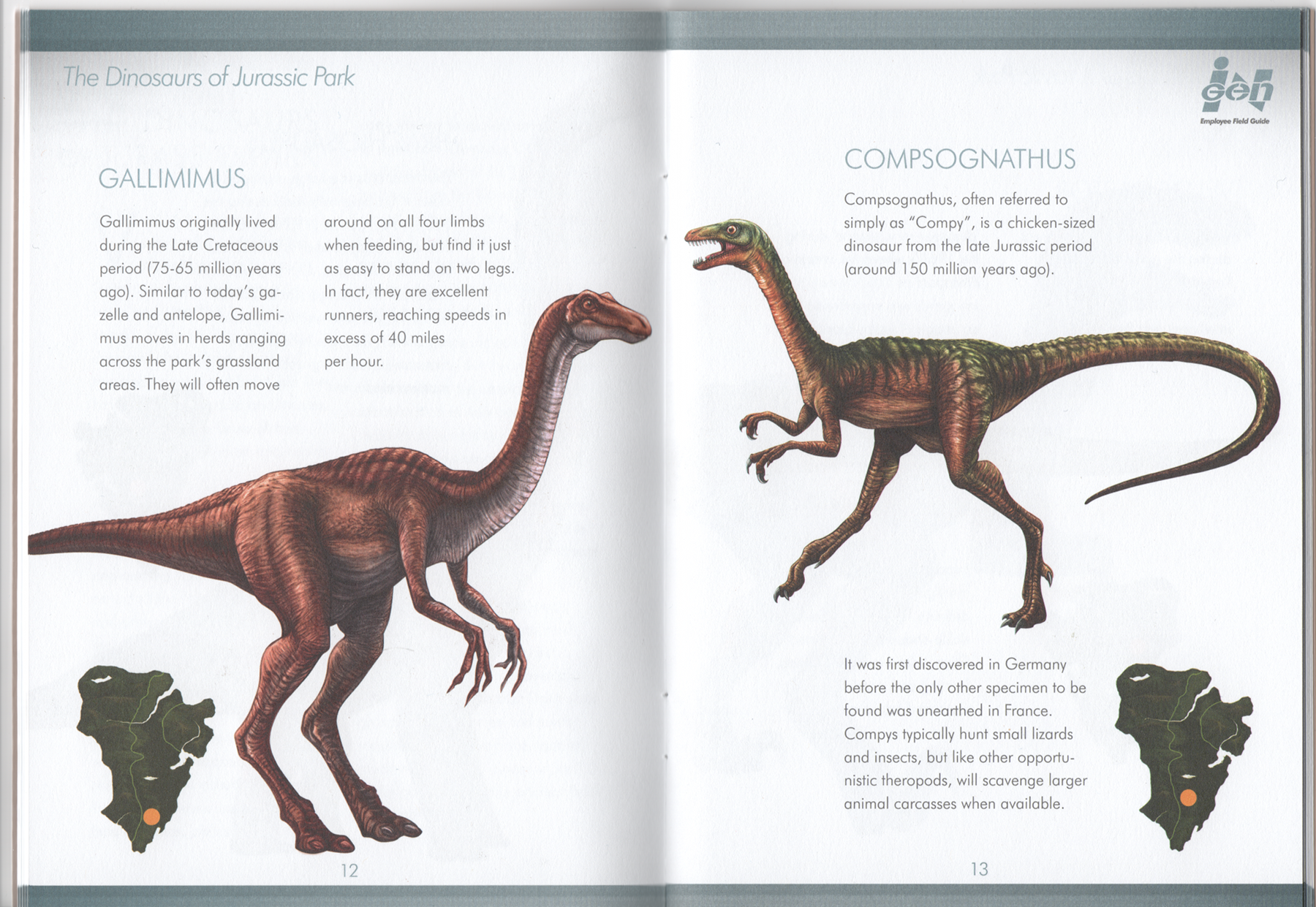 ingen velociraptor