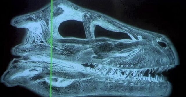 File:Raptorscan.jpg