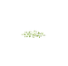 Green Soy Flour (Bonbon Cakery)
