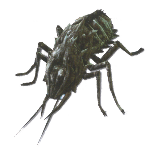 File:Cadaver Beetle.png