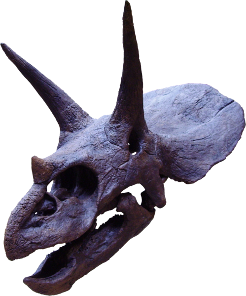 triceratops with spikes on head
