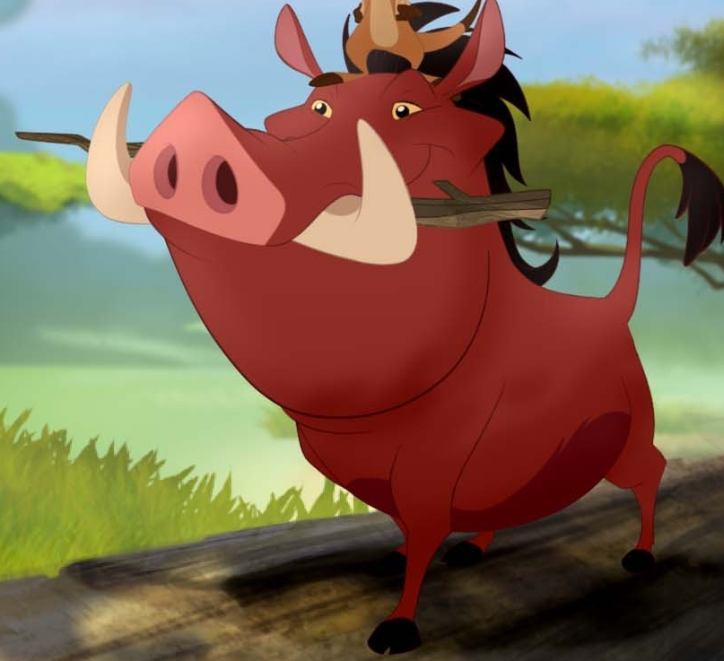 Pumbaa | Wikia La Garde du Roi Lion | FANDOM powered by Wikia